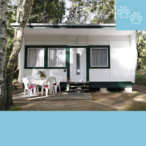 Bungalow 11