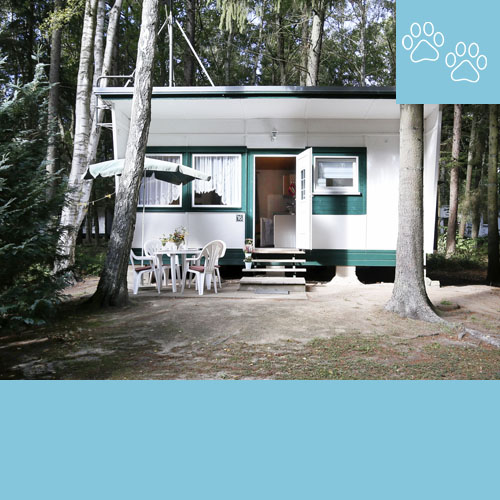 Bungalow 20
